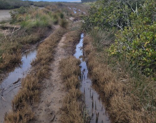 Council blocks vehicle access after 4WD damage